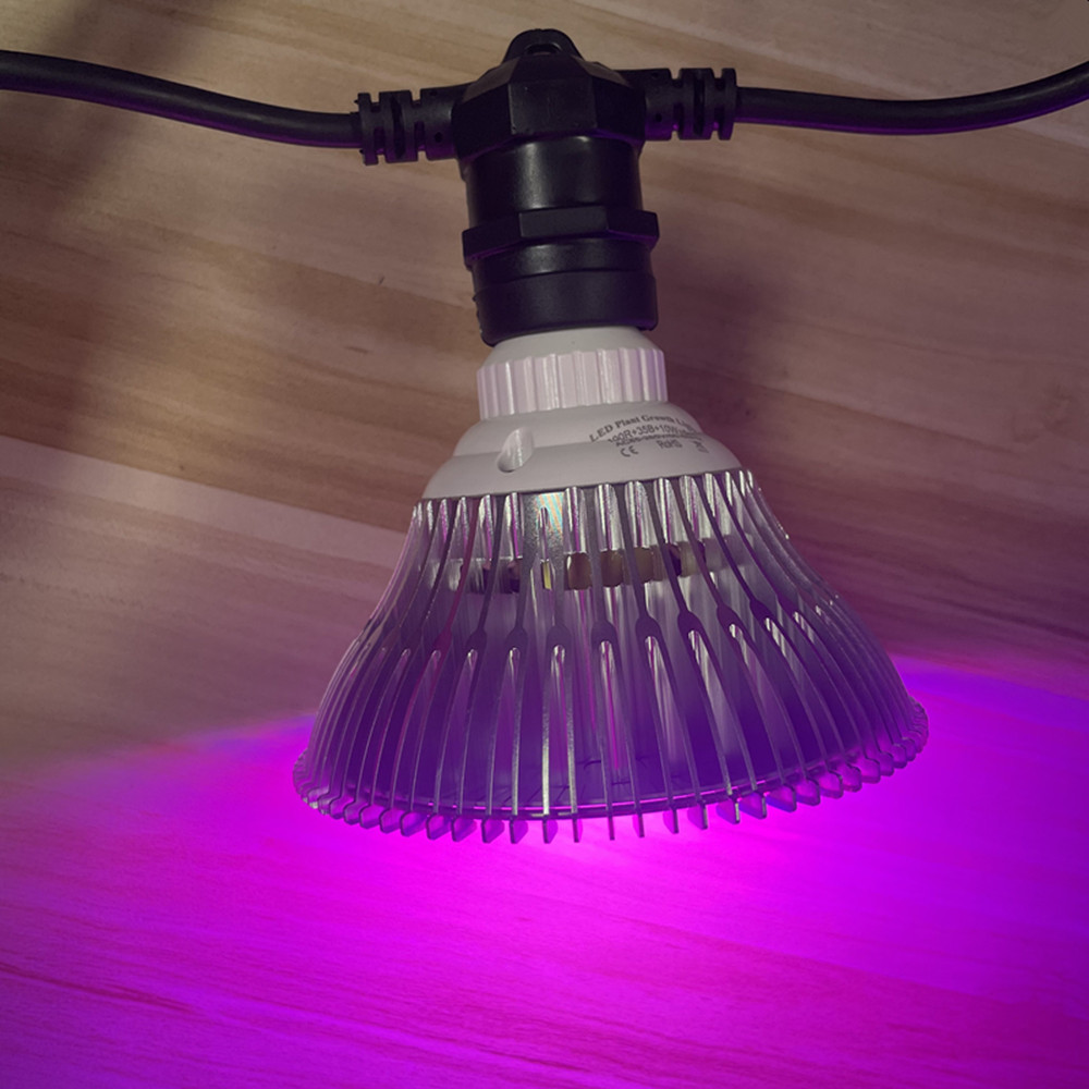 10 メートルケーブル LED ストリング商用グレード防水  - Outdoor Lighting Wedding Decor のレビューと価格